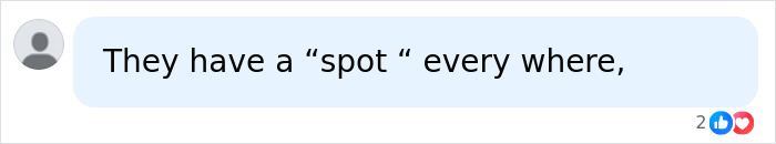 Study Reveals Key Male Pleasure Area Isn&rsquo;t Where Experts Once Thought