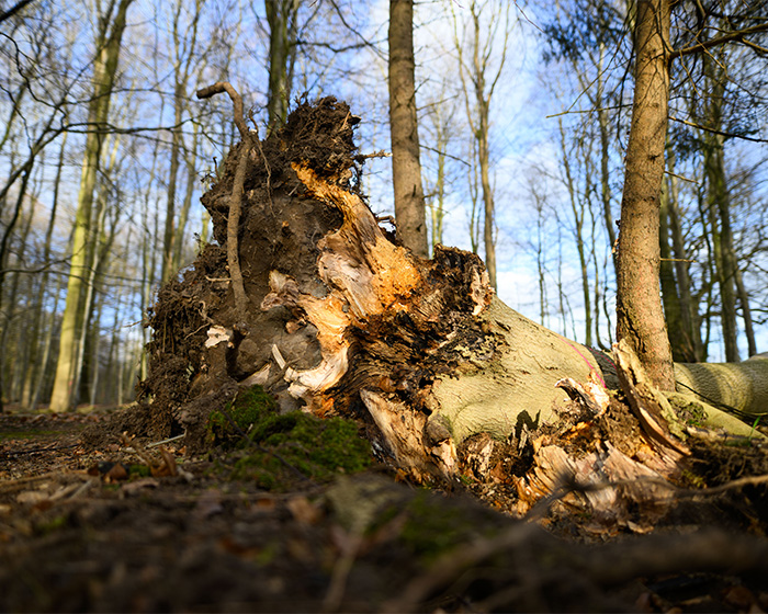 Easter Egg Hunt Turns Into Nightmare For Young Mother, Baby And Teenager