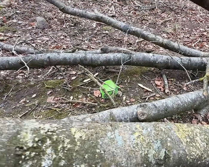 Easter Egg Hunt Turns Into Nightmare For Young Mother, Baby And Teenager