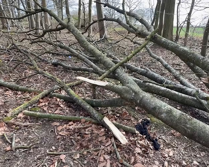 Easter Egg Hunt Turns Into Nightmare For Young Mother, Baby And Teenager