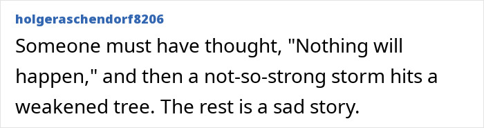 Easter Egg Hunt Turns Into Nightmare For Young Mother, Baby And Teenager