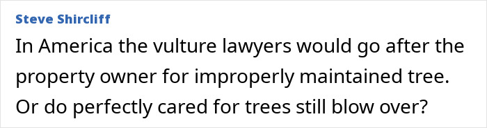 Easter Egg Hunt Turns Into Nightmare For Young Mother, Baby And Teenager