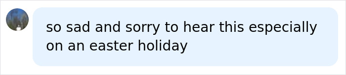 Easter Egg Hunt Turns Into Nightmare For Young Mother, Baby And Teenager