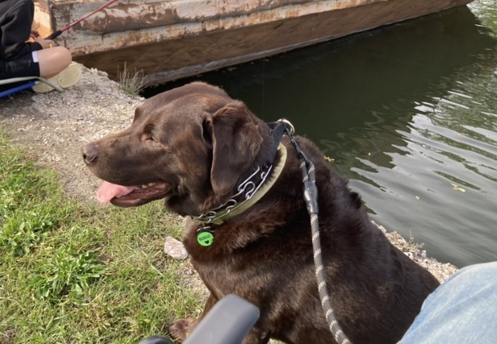 Husband&rsquo;s Savage Revenge After His Wife And Best Friend&rsquo;s Affair Leaves Them Socially Ruined