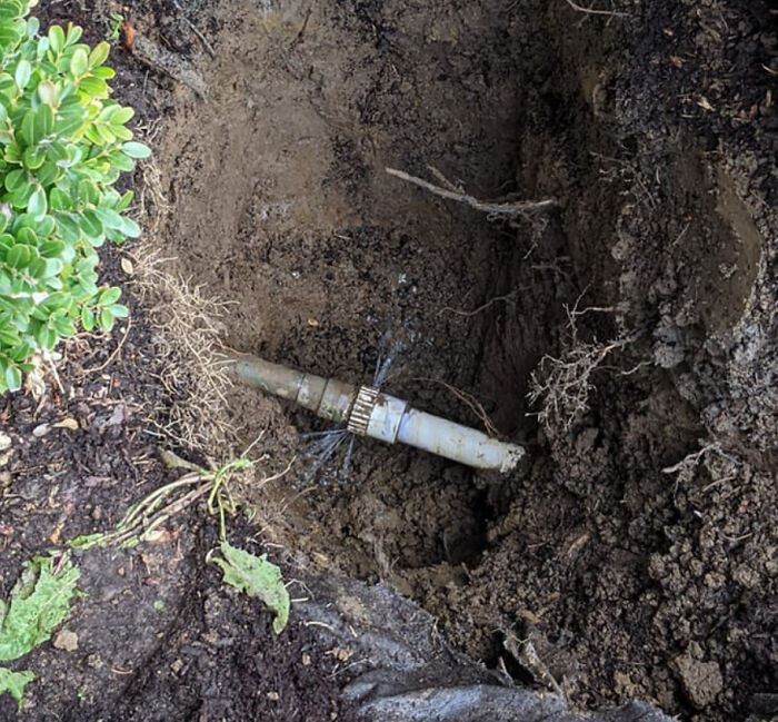 35 Times People Bought Homes And Regretted It Almost Immediately 35 Times People Bought Homes And Regretted It Almost Immediately