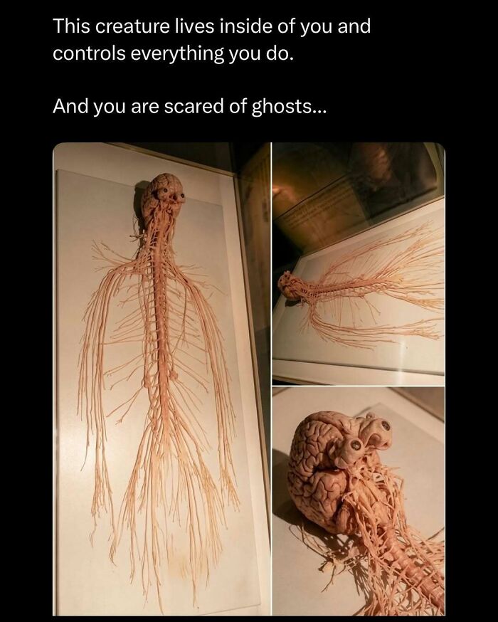 109 Funny And Interesting Posts That Might Make Your Day A Little Better 109 Funny And Interesting Posts That Might Make Your Day A Little Better