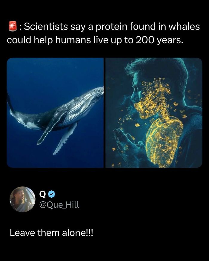 109 Funny And Interesting Posts That Might Make Your Day A Little Better 109 Funny And Interesting Posts That Might Make Your Day A Little Better