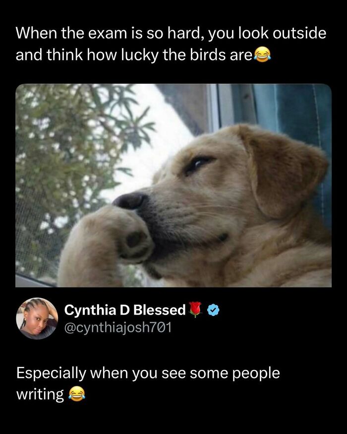 109 Funny And Interesting Posts That Might Make Your Day A Little Better 109 Funny And Interesting Posts That Might Make Your Day A Little Better