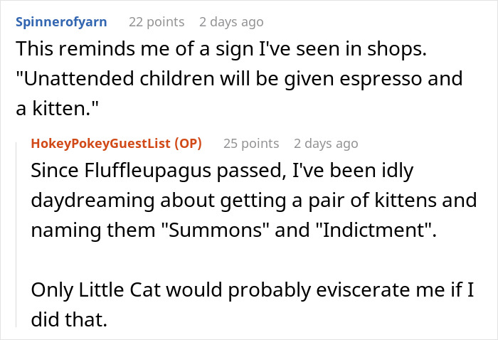 Woman Agrees To Babysit Rude Cousin&rsquo;s Kids In An &ldquo;Emergency,&rdquo; Gets Payback After Finding Out It Was A Lie