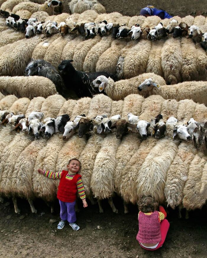 Here Are 33 Of The Most Interesting Images Selected By This Instagram Page (New Pics) Here Are 33 Of The Most Interesting Images Selected By This Instagram Page (New Pics)