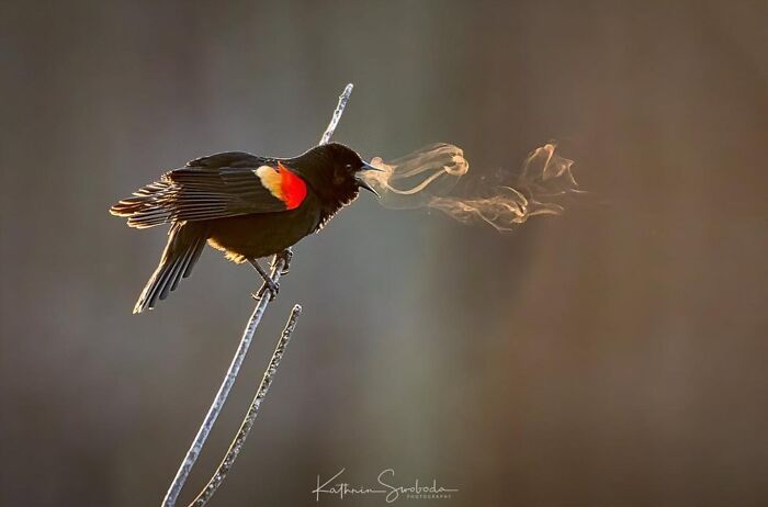 Here Are 33 Of The Most Interesting Images Selected By This Instagram Page (New Pics) Here Are 33 Of The Most Interesting Images Selected By This Instagram Page (New Pics)