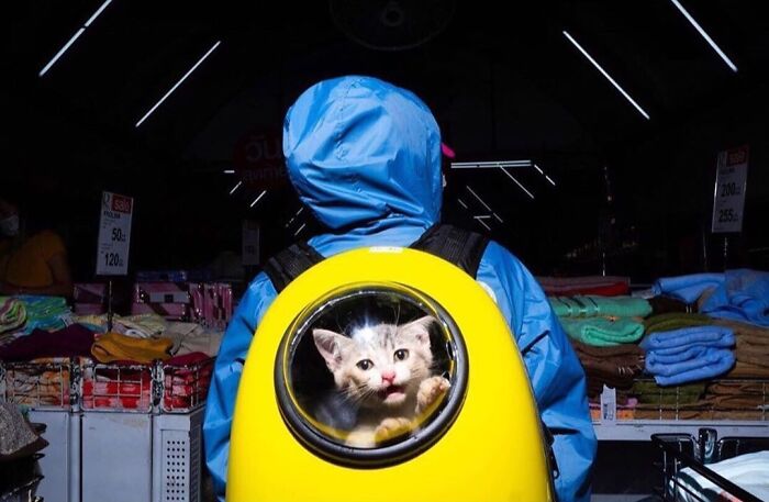 Here Are 33 Of The Most Interesting Images Selected By This Instagram Page (New Pics) Here Are 33 Of The Most Interesting Images Selected By This Instagram Page (New Pics)