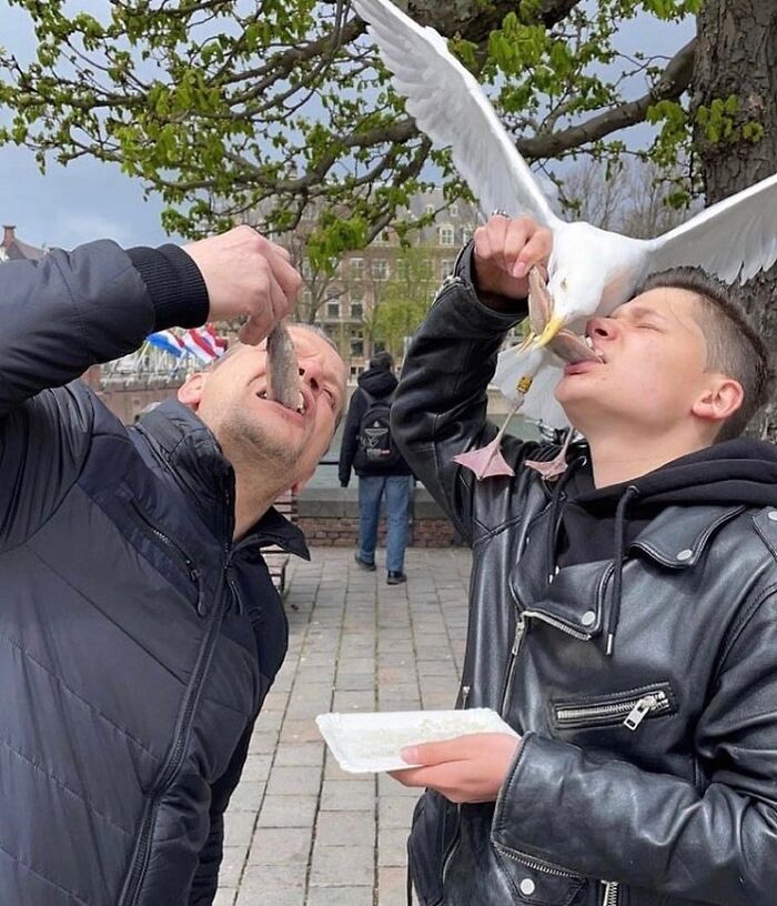 Here Are 33 Of The Most Interesting Images Selected By This Instagram Page (New Pics) Here Are 33 Of The Most Interesting Images Selected By This Instagram Page (New Pics)