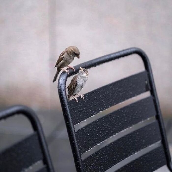 Here Are 33 Of The Most Interesting Images Selected By This Instagram Page (New Pics) Here Are 33 Of The Most Interesting Images Selected By This Instagram Page (New Pics)