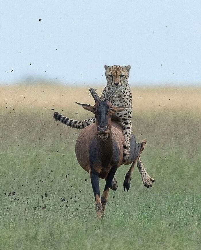 Here Are 33 Of The Most Interesting Images Selected By This Instagram Page (New Pics) Here Are 33 Of The Most Interesting Images Selected By This Instagram Page (New Pics)