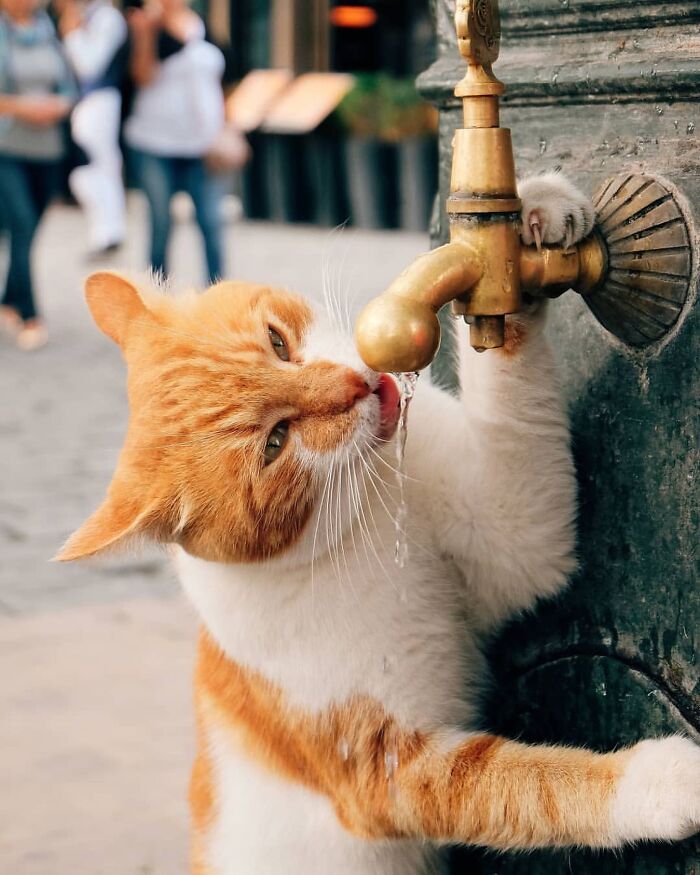 Here Are 33 Of The Most Interesting Images Selected By This Instagram Page (New Pics) Here Are 33 Of The Most Interesting Images Selected By This Instagram Page (New Pics)