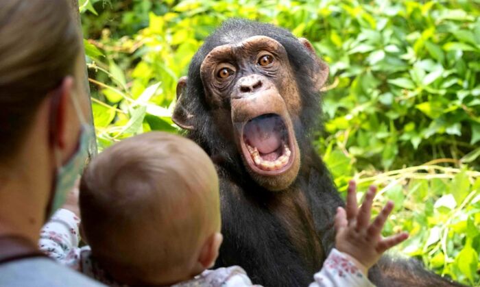 Here Are 33 Of The Most Interesting Images Selected By This Instagram Page (New Pics) Here Are 33 Of The Most Interesting Images Selected By This Instagram Page (New Pics)