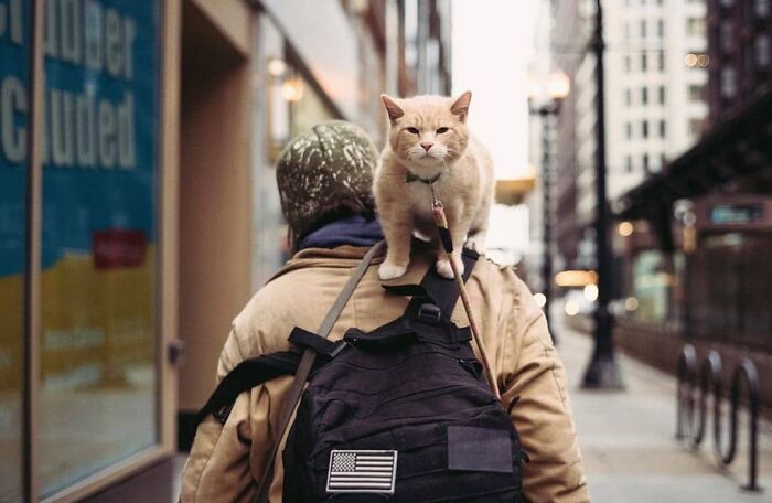 Here Are 33 Of The Most Interesting Images Selected By This Instagram Page (New Pics) Here Are 33 Of The Most Interesting Images Selected By This Instagram Page (New Pics)