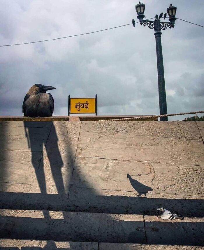 Here Are 33 Of The Most Interesting Images Selected By This Instagram Page (New Pics) Here Are 33 Of The Most Interesting Images Selected By This Instagram Page (New Pics)