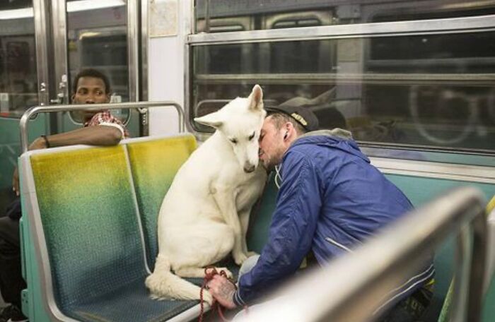 Here Are 33 Of The Most Interesting Images Selected By This Instagram Page (New Pics) Here Are 33 Of The Most Interesting Images Selected By This Instagram Page (New Pics)