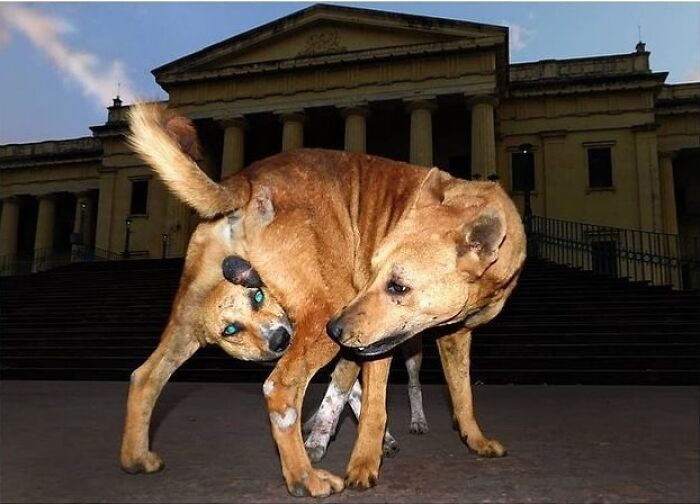 Here Are 33 Of The Most Interesting Images Selected By This Instagram Page (New Pics) Here Are 33 Of The Most Interesting Images Selected By This Instagram Page (New Pics)