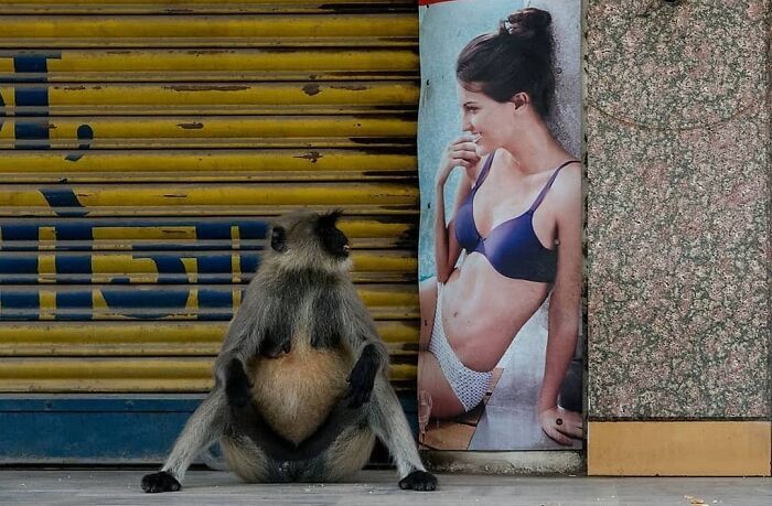 Here Are 33 Of The Most Interesting Images Selected By This Instagram Page (New Pics) Here Are 33 Of The Most Interesting Images Selected By This Instagram Page (New Pics)