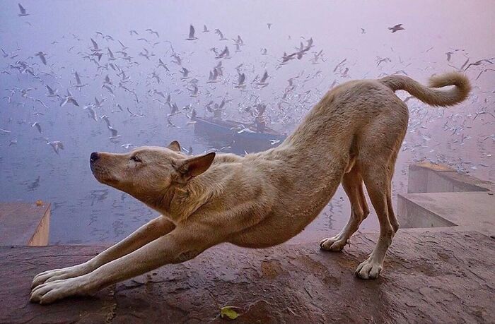 Here Are 33 Of The Most Interesting Images Selected By This Instagram Page (New Pics) Here Are 33 Of The Most Interesting Images Selected By This Instagram Page (New Pics)