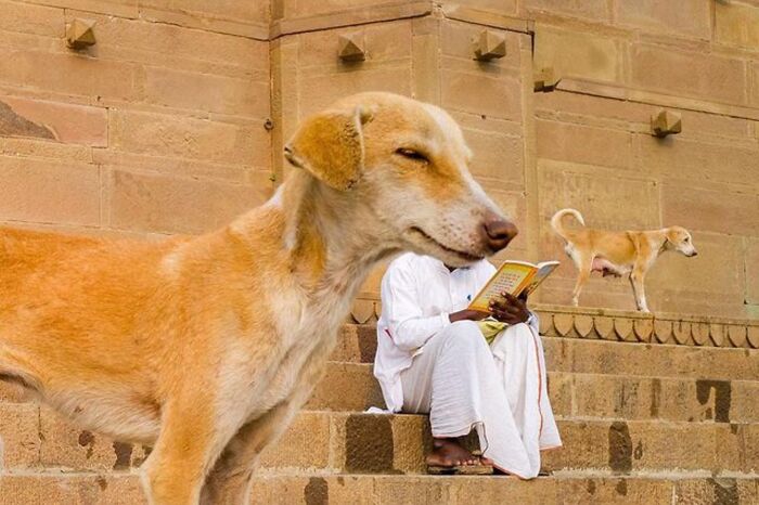 Here Are 33 Of The Most Interesting Images Selected By This Instagram Page (New Pics) Here Are 33 Of The Most Interesting Images Selected By This Instagram Page (New Pics)