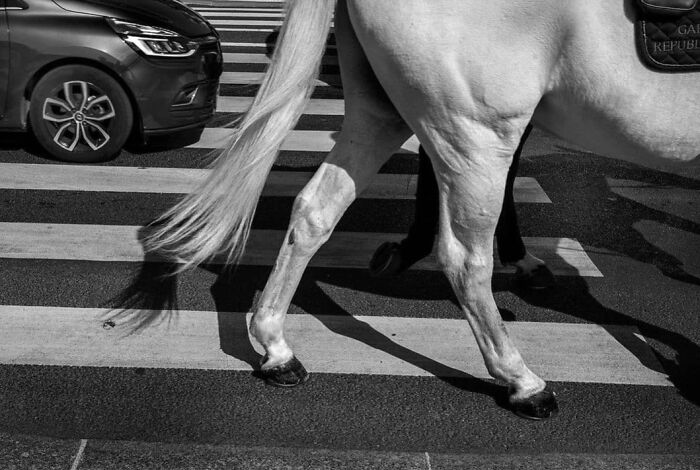 Here Are 33 Of The Most Interesting Images Selected By This Instagram Page (New Pics) Here Are 33 Of The Most Interesting Images Selected By This Instagram Page (New Pics)