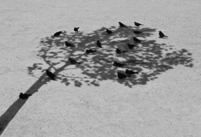 Here Are 33 Of The Most Interesting Images Selected By This Instagram Page (New Pics) Here Are 33 Of The Most Interesting Images Selected By This Instagram Page (New Pics)