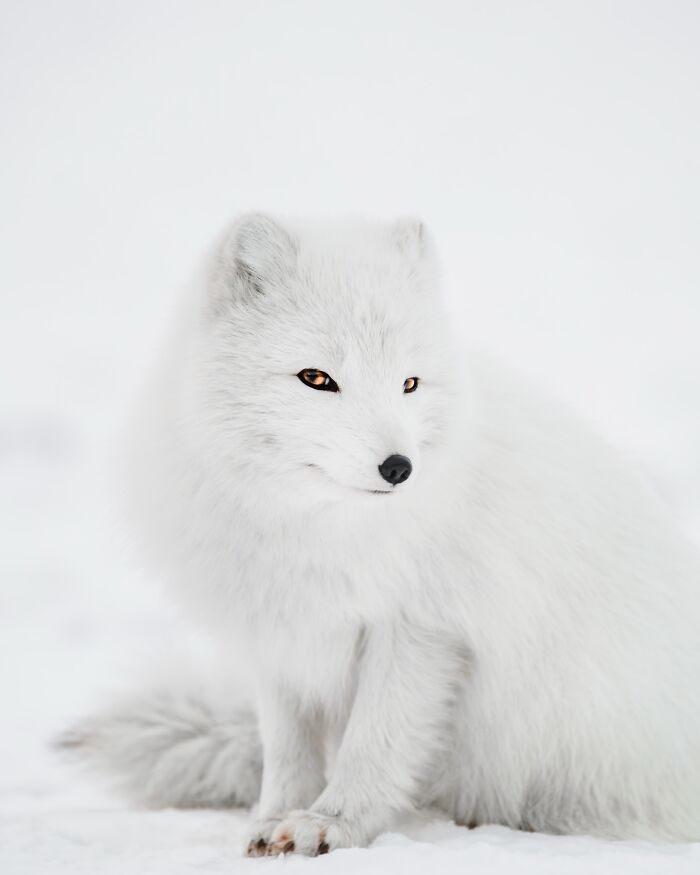 89 Pics Of Iceland That Look Like They Were Taken On Another Planet By This Photographer