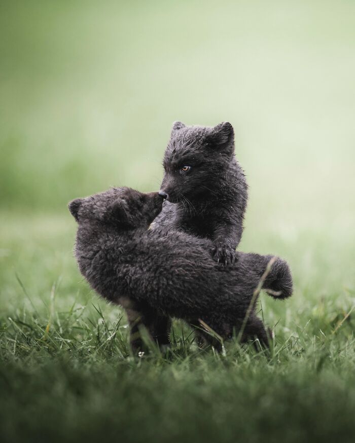 89 Pics Of Iceland That Look Like They Were Taken On Another Planet By This Photographer