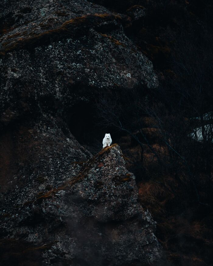 89 Pics Of Iceland That Look Like They Were Taken On Another Planet By This Photographer