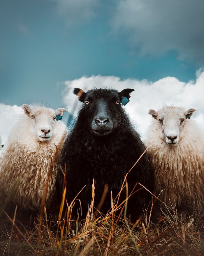 89 Pics Of Iceland That Look Like They Were Taken On Another Planet By This Photographer