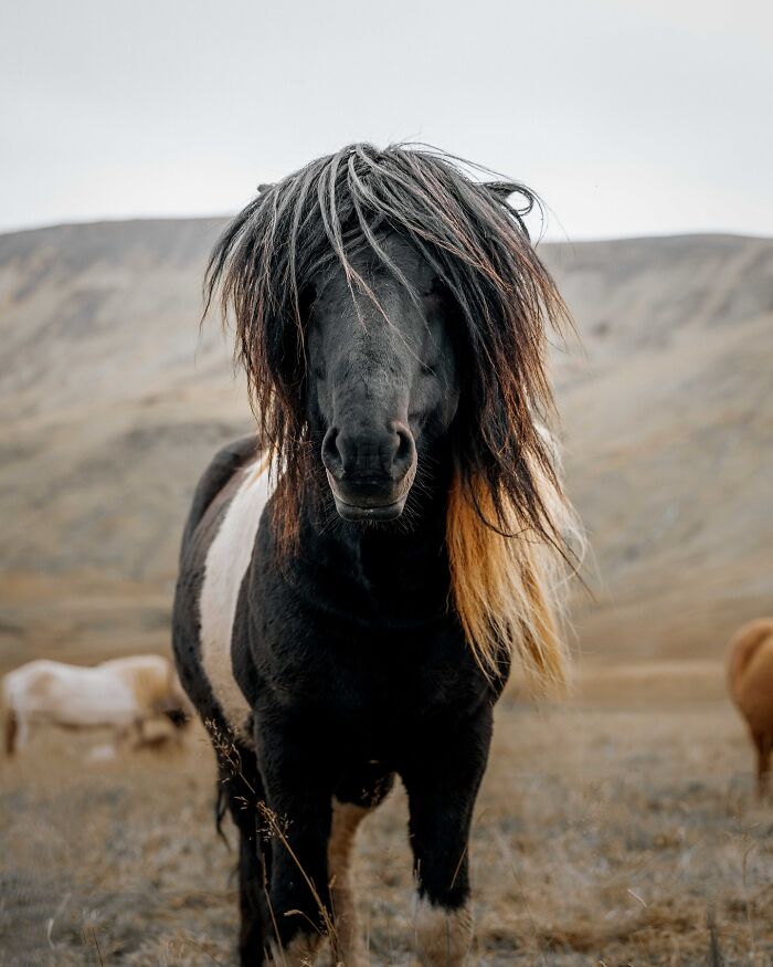 89 Pics Of Iceland That Look Like They Were Taken On Another Planet By This Photographer