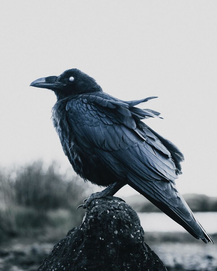 89 Pics Of Iceland That Look Like They Were Taken On Another Planet By This Photographer