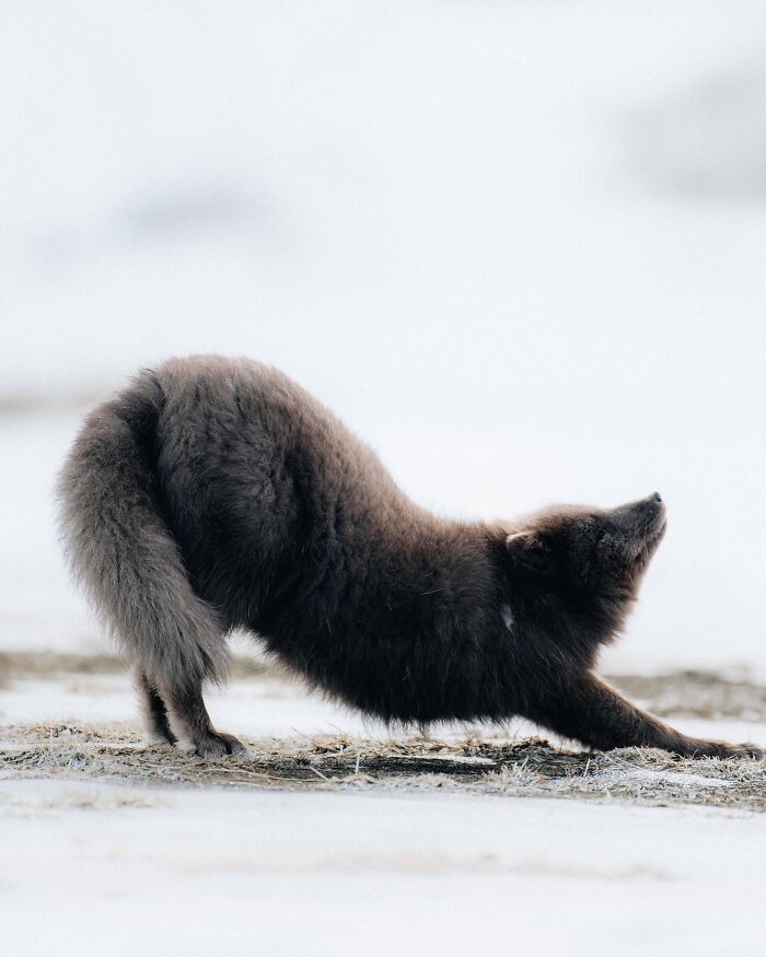 89 Pics Of Iceland That Look Like They Were Taken On Another Planet By This Photographer