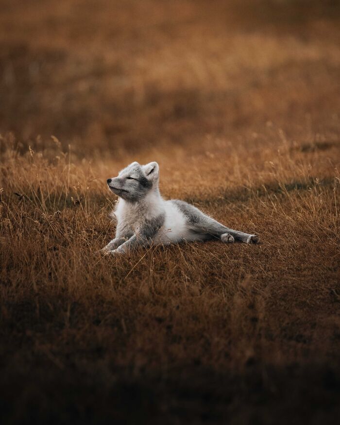 89 Pics Of Iceland That Look Like They Were Taken On Another Planet By This Photographer
