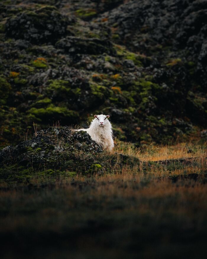 89 Pics Of Iceland That Look Like They Were Taken On Another Planet By This Photographer