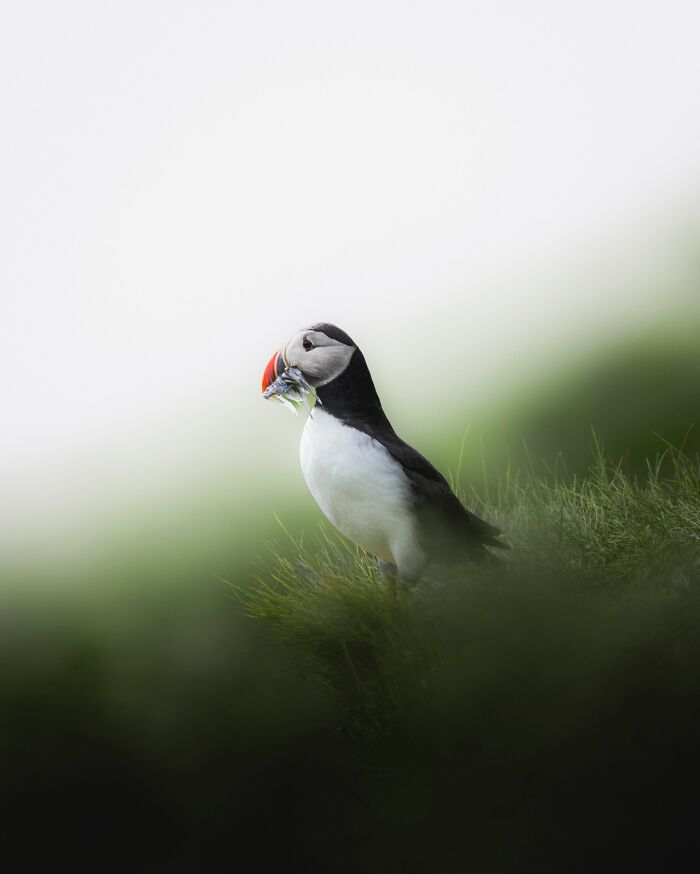 89 Pics Of Iceland That Look Like They Were Taken On Another Planet By This Photographer