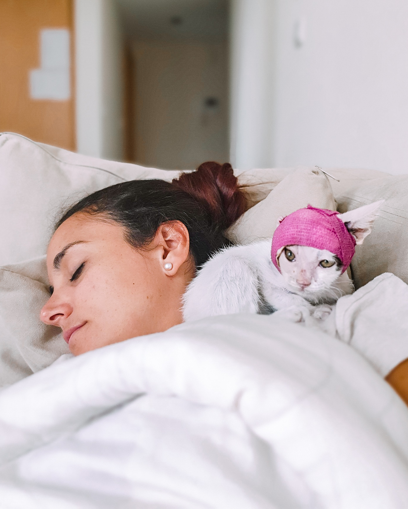 Critically Injured Kittens Found On Dubai Streets Make Incredible Recovery With Caring Vet