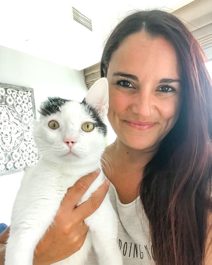 Critically Injured Kittens Found On Dubai Streets Make Incredible Recovery With Caring Vet