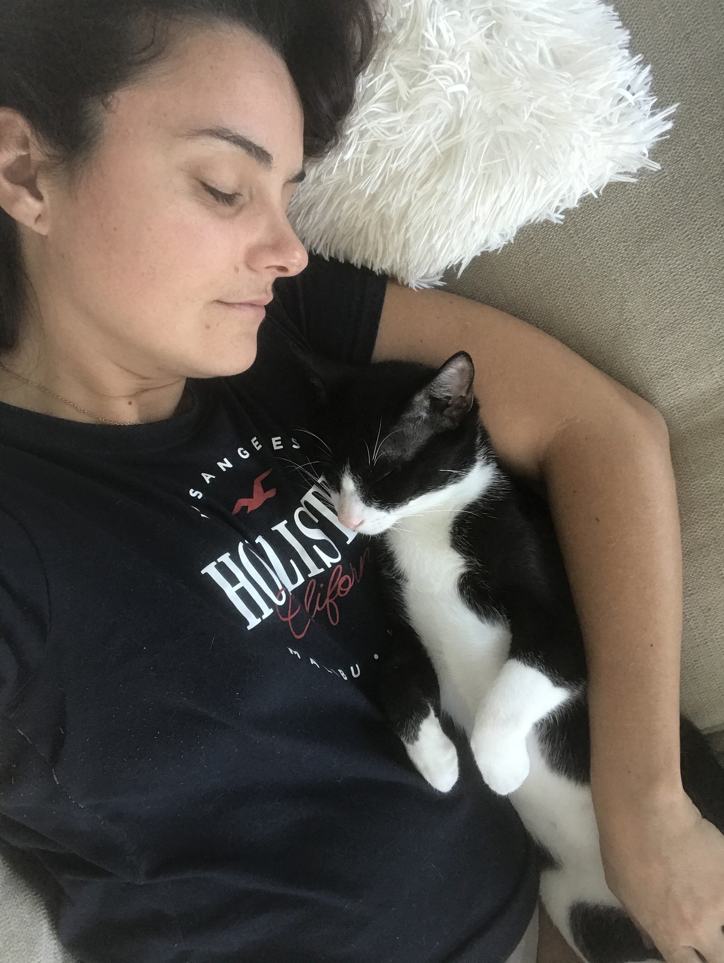 Critically Injured Kittens Found On Dubai Streets Make Incredible Recovery With Caring Vet