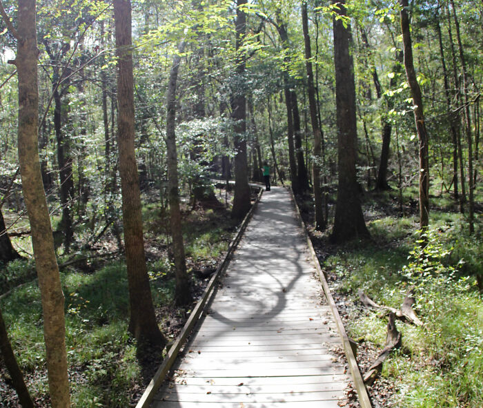 Bride Blocks Off Waterfall At Public Park For Her Wedding, Her Father Then Threatens People Who Complain