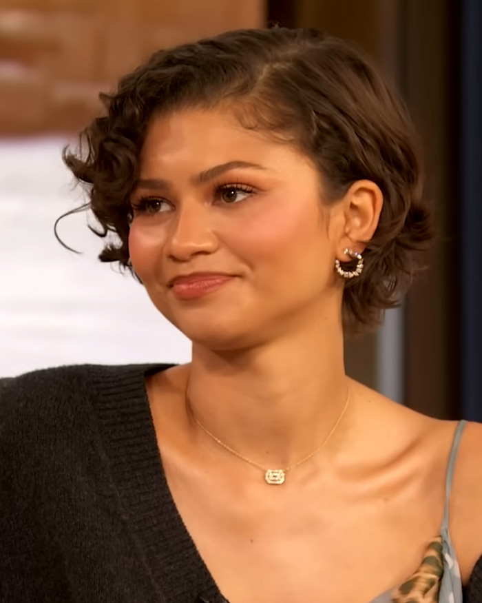 Internet Tears Zendaya Apart After Her Old Remark On Being A Feminist Resurfaces