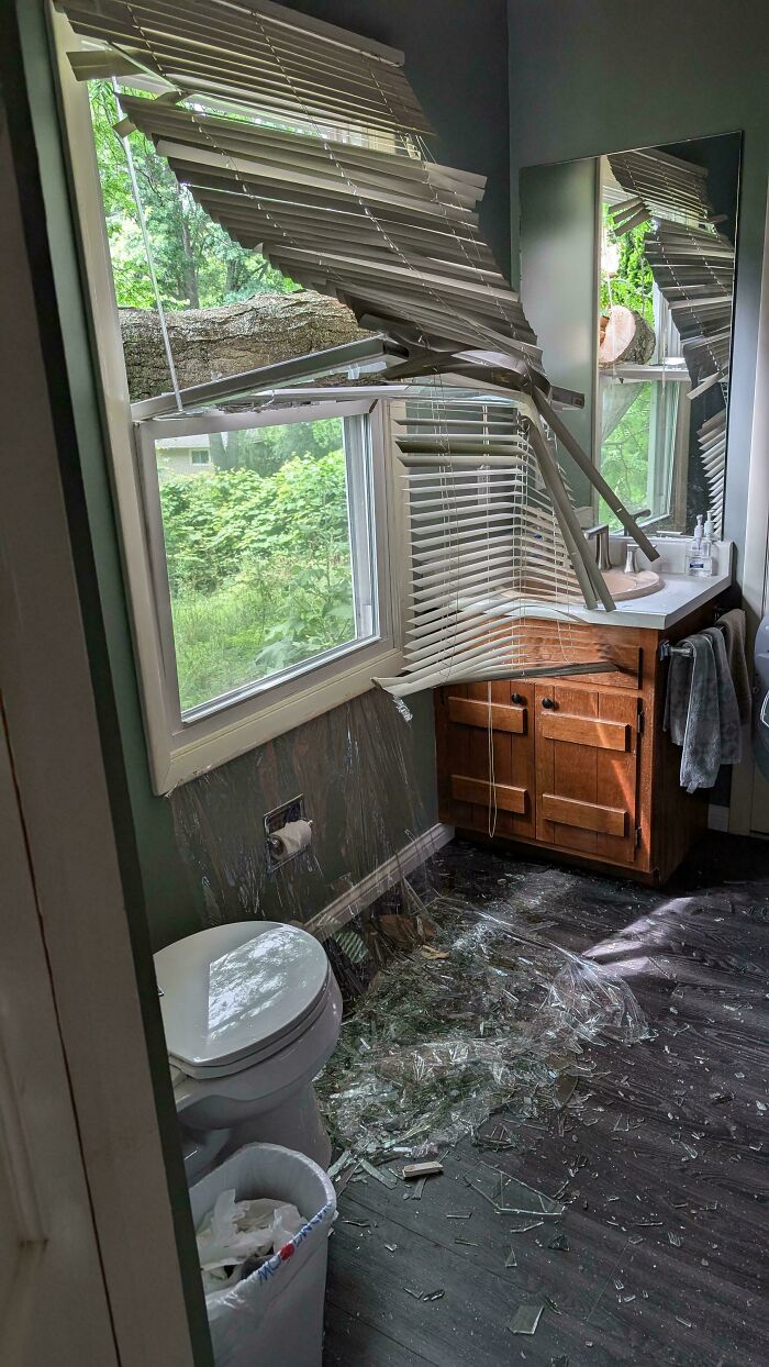 51 Painful Times Life Gave People Lemons And Absolutely No Way To Make Lemonade (New Pics) 51 Painful Times Life Gave People Lemons And Absolutely No Way To Make Lemonade (New Pics)