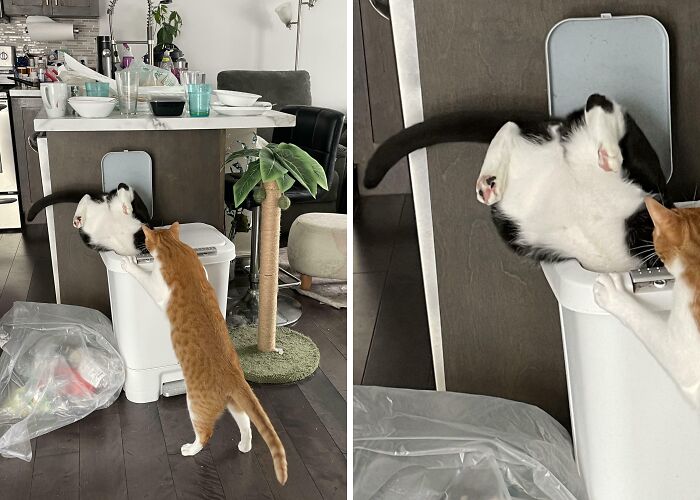 51 Painful Times Life Gave People Lemons And Absolutely No Way To Make Lemonade (New Pics) 51 Painful Times Life Gave People Lemons And Absolutely No Way To Make Lemonade (New Pics)