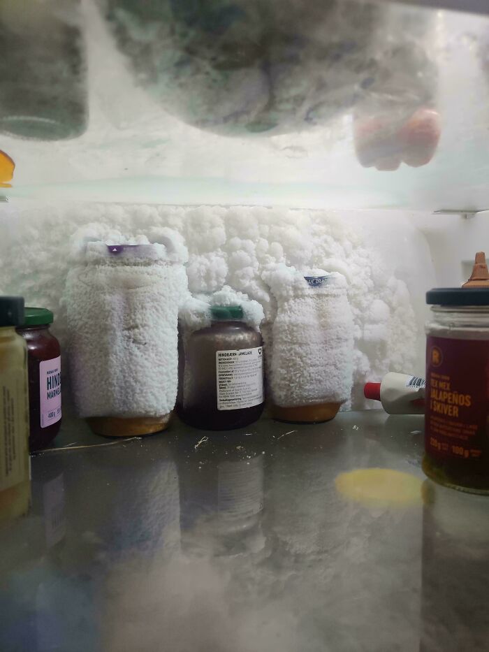 51 Painful Times Life Gave People Lemons And Absolutely No Way To Make Lemonade (New Pics) 51 Painful Times Life Gave People Lemons And Absolutely No Way To Make Lemonade (New Pics)