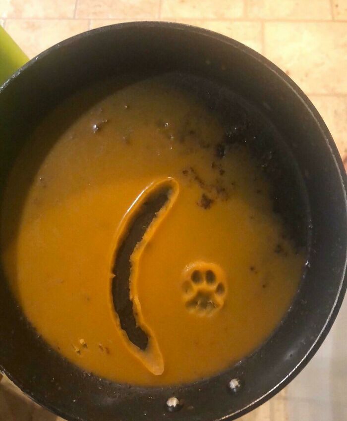 51 Painful Times Life Gave People Lemons And Absolutely No Way To Make Lemonade (New Pics) 51 Painful Times Life Gave People Lemons And Absolutely No Way To Make Lemonade (New Pics)