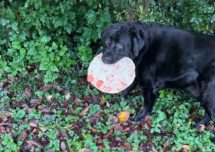 51 Painful Times Life Gave People Lemons And Absolutely No Way To Make Lemonade (New Pics) 51 Painful Times Life Gave People Lemons And Absolutely No Way To Make Lemonade (New Pics)